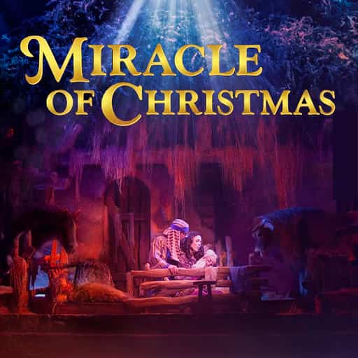 Miracle of Christmas